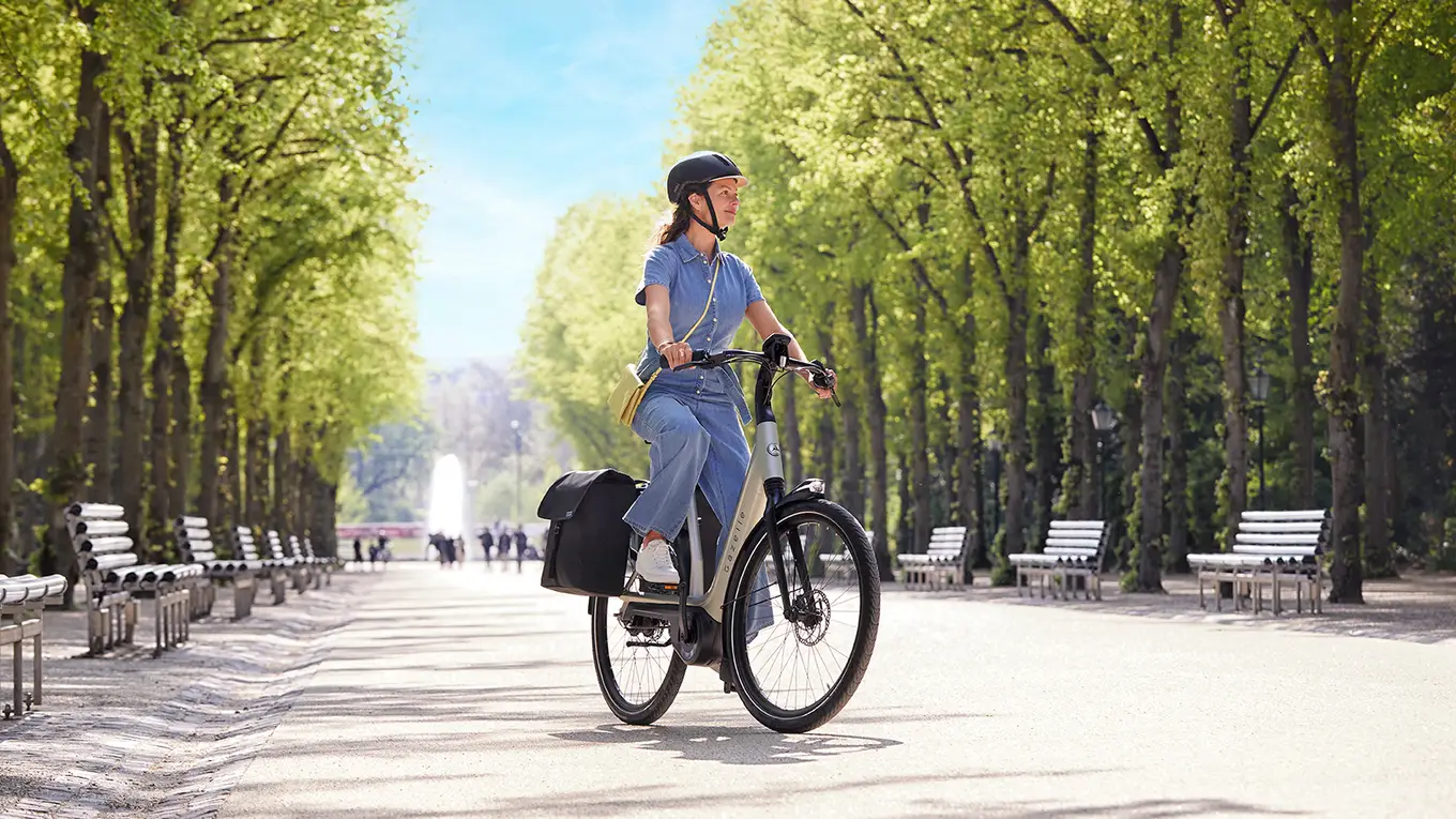 Accessoires mobilité