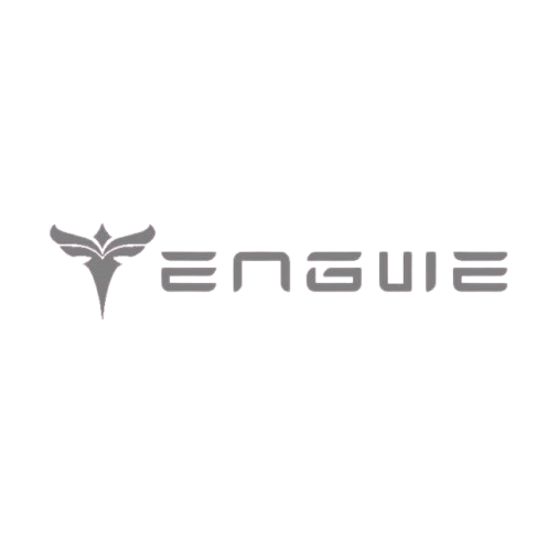 Engwe